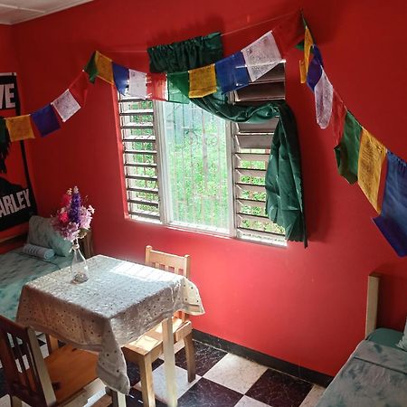 Toga Guest House Port Antonio Exterior photo