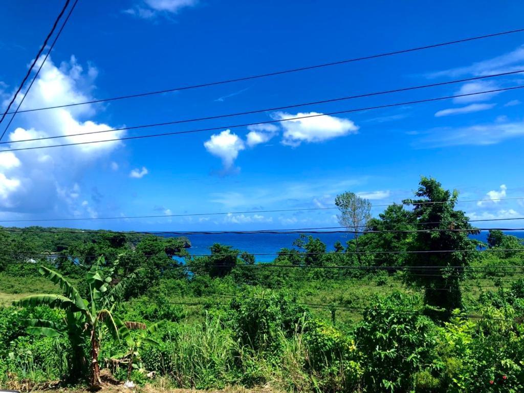 Toga Guest House Port Antonio Exterior photo